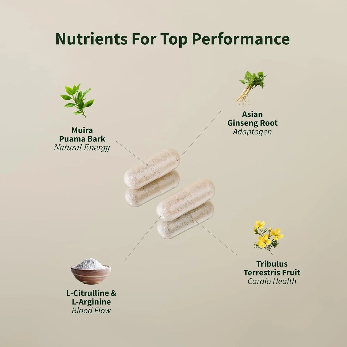 Nitric Oxide Booster