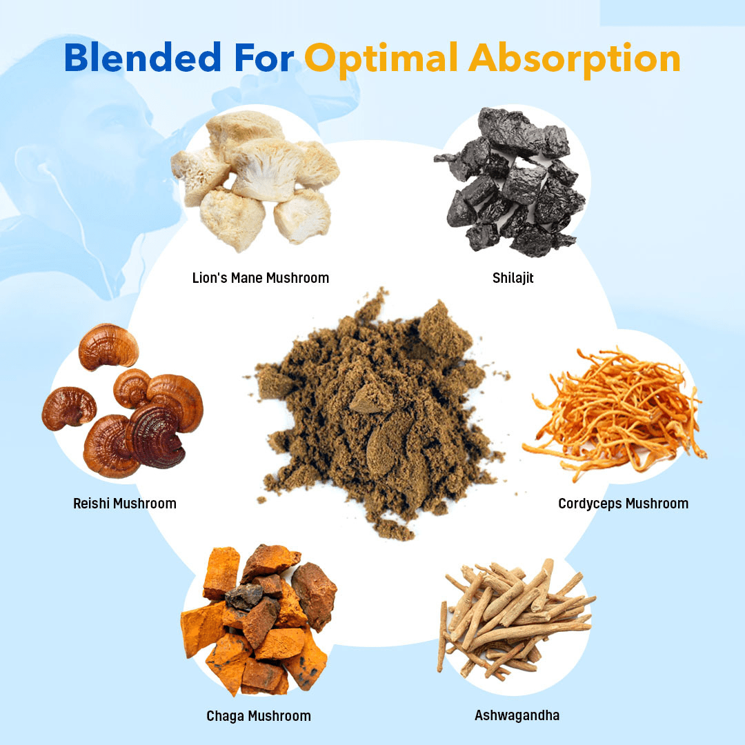 Neuman™ ForestPrime Pro