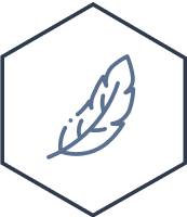 Alt image